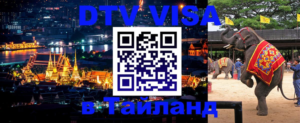 Оформление DTV визы под ключ: стоимость и тарифы, только загранпаспорт - 18.11.2025 
